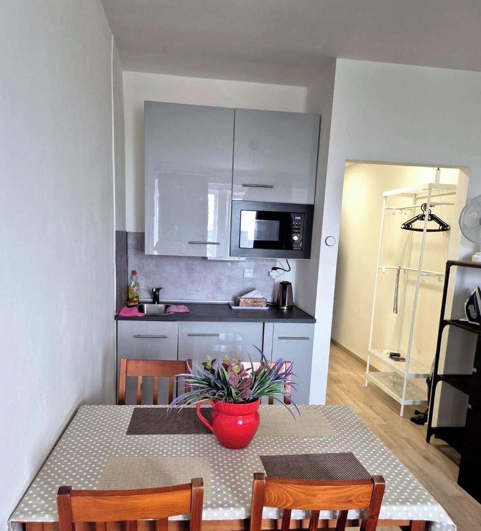Standard Apartment | Private kitchen | Cleaning supplies, freezer, paper towels