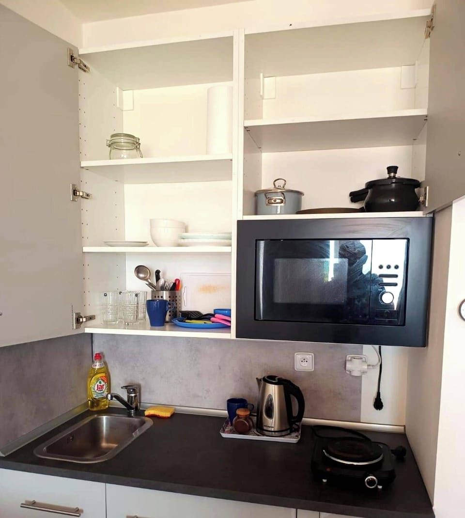 Standard Apartment | Private kitchen | Cleaning supplies, freezer, paper towels