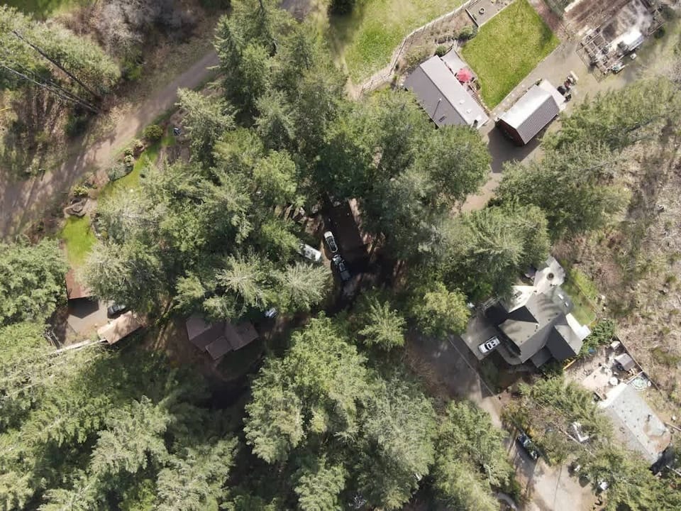 Aerial over the entire compound. Both cabins, both Airstreams, and the wooded grounds are yours for the stay.
