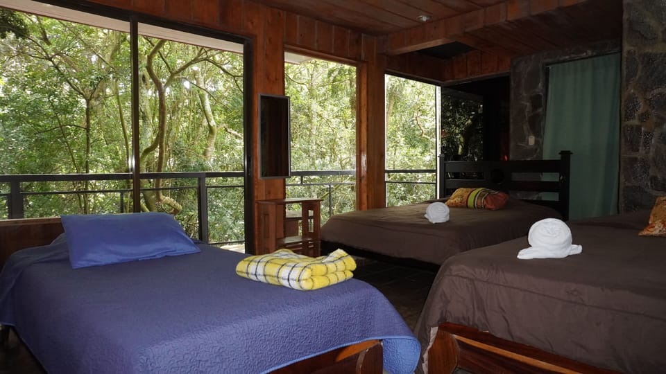 Family Room | Terrace/patio