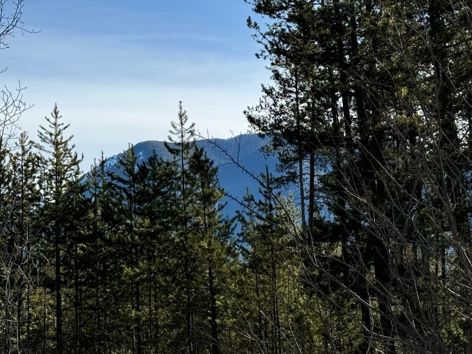 Mountain view