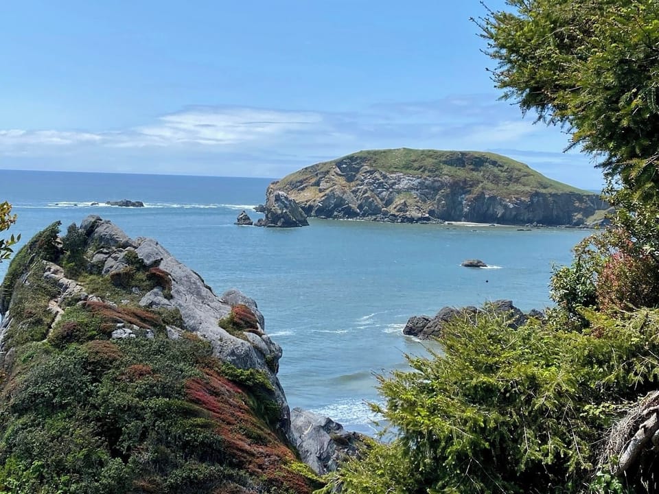 Harris Beach State Park