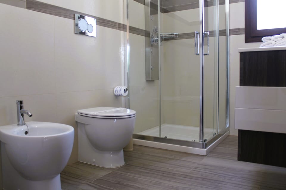 Shower, hair dryer, bidet, towels