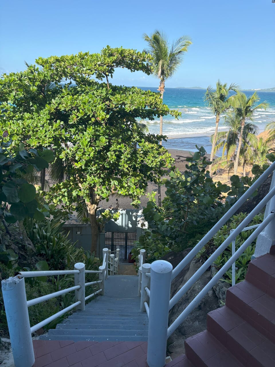View from property