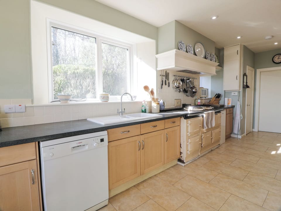 Fridge, microwave, dishwasher, toaster
