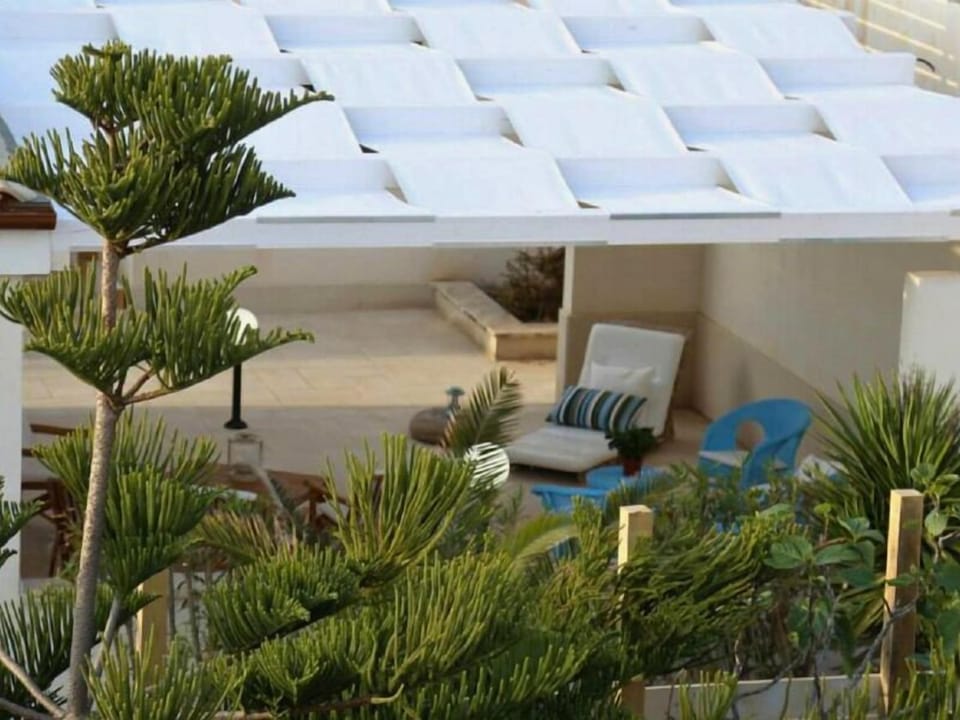 Standard Apartment | Terrace/patio