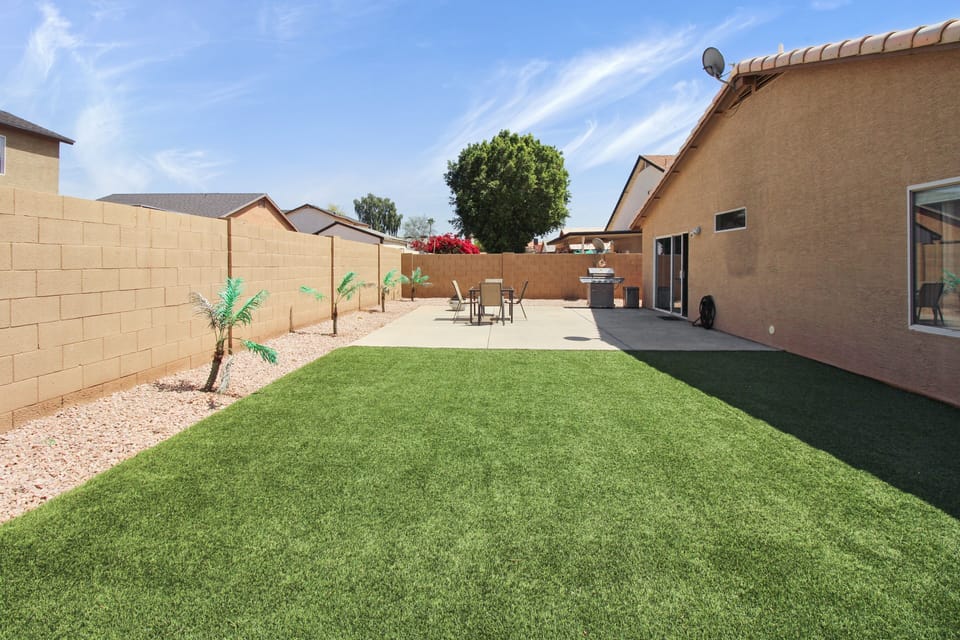 Grass, Backyard, Nature, Outdoors, Yard