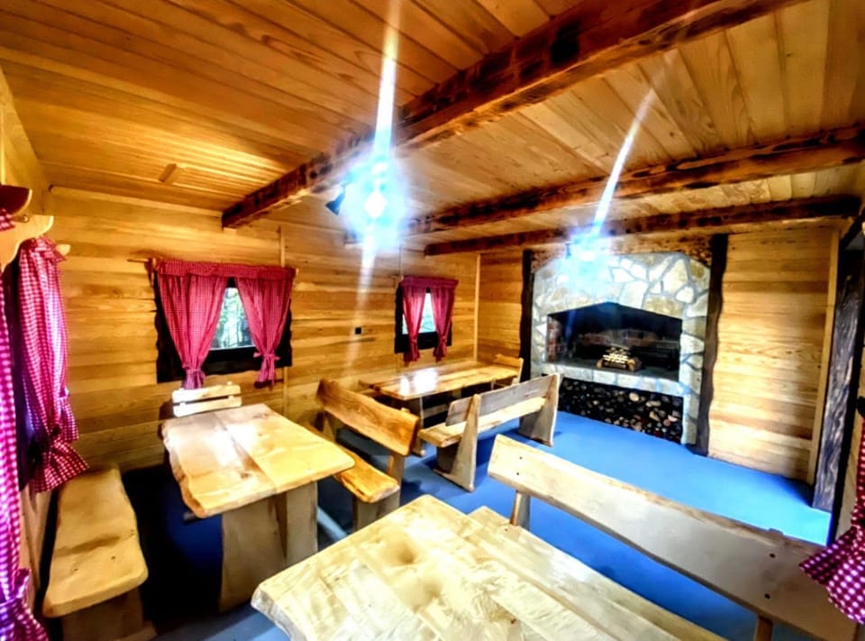 House (Holida Home Šegota) | Dining room