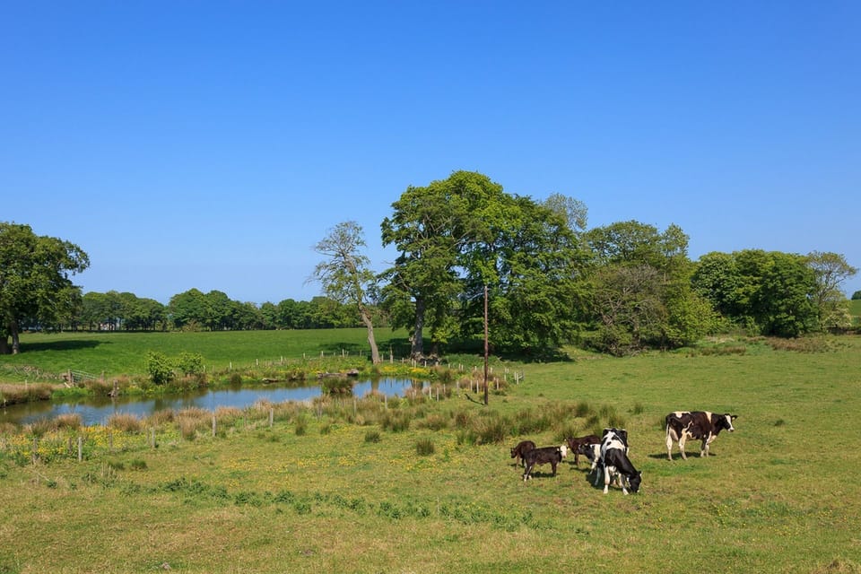 1 Eden Cottage View