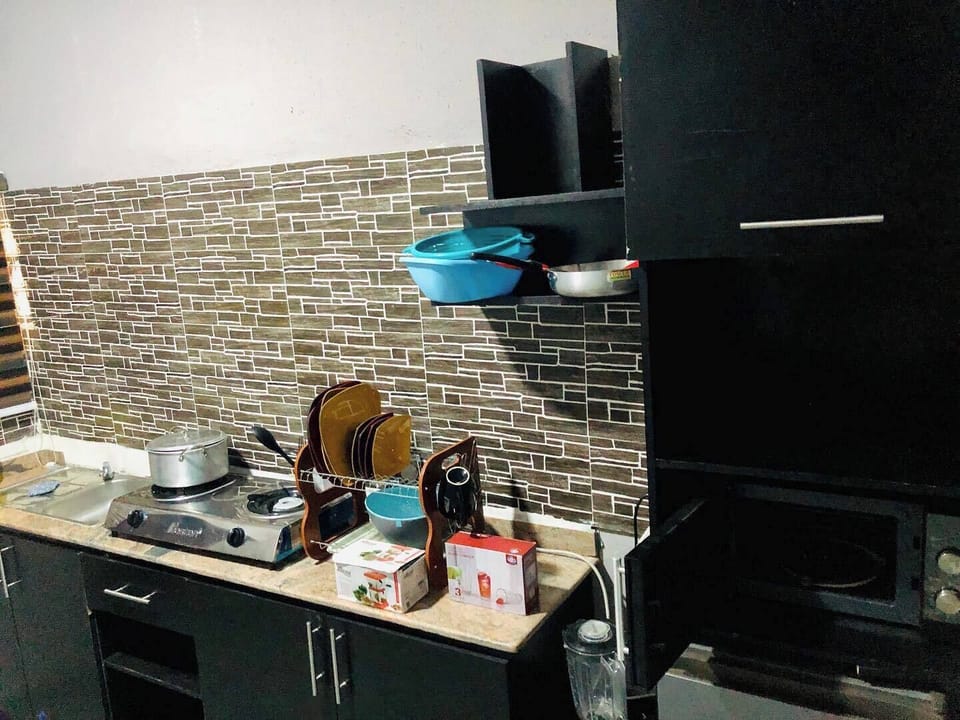 Family Apartment, Balcony, City View | Private kitchen | Fridge, microwave, oven, stovetop