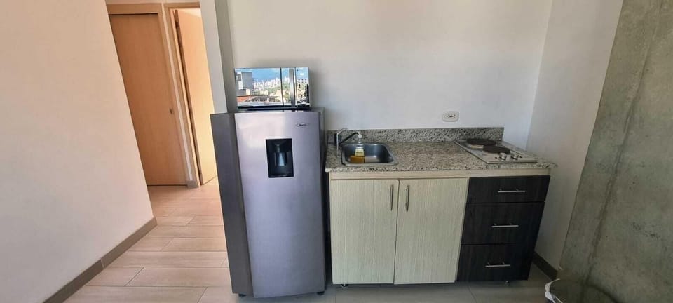 Standard Apartment, City View | Private kitchen | Rice cooker, blender, griddle, cookware/dishes/utensils