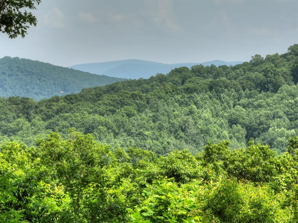 Enjoy breathtaking mountain views surrounded by lush greenery from this tranquil getaway spot.