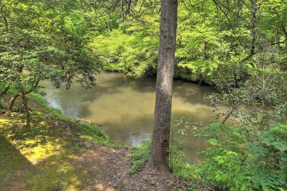 Tranquil creekside view surrounded by lush greenery—perfect for nature lovers.