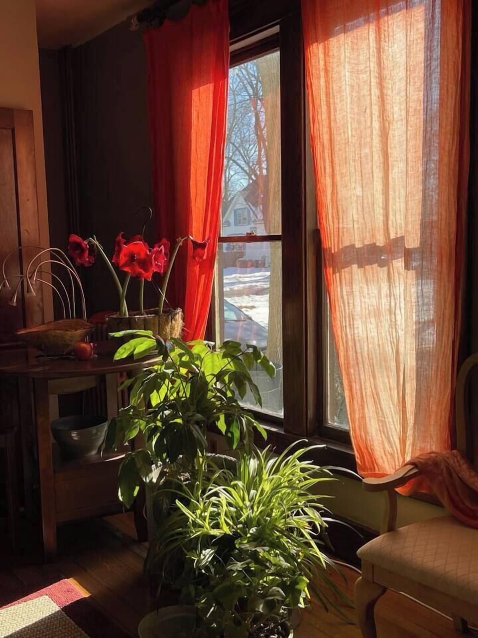 On a winter's day