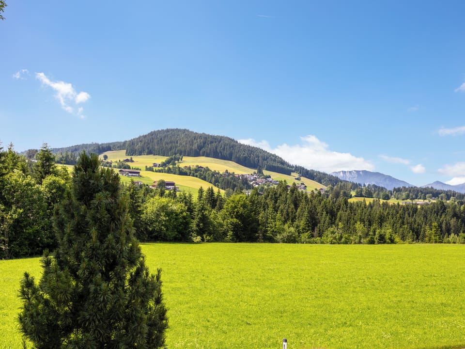 View from Holiday Home [summer]