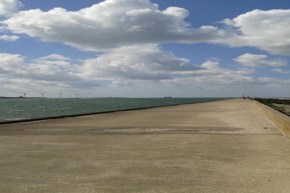 Region [summer] (>5 km)