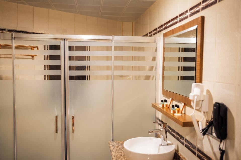 Suite | Bathroom | Shower, soap, shampoo, toilet paper