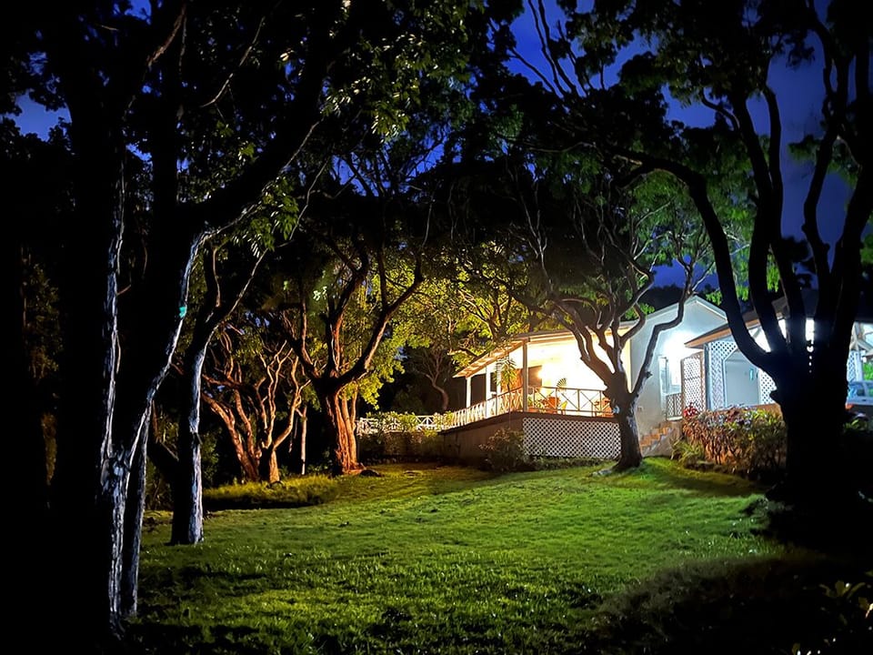 Lawn view