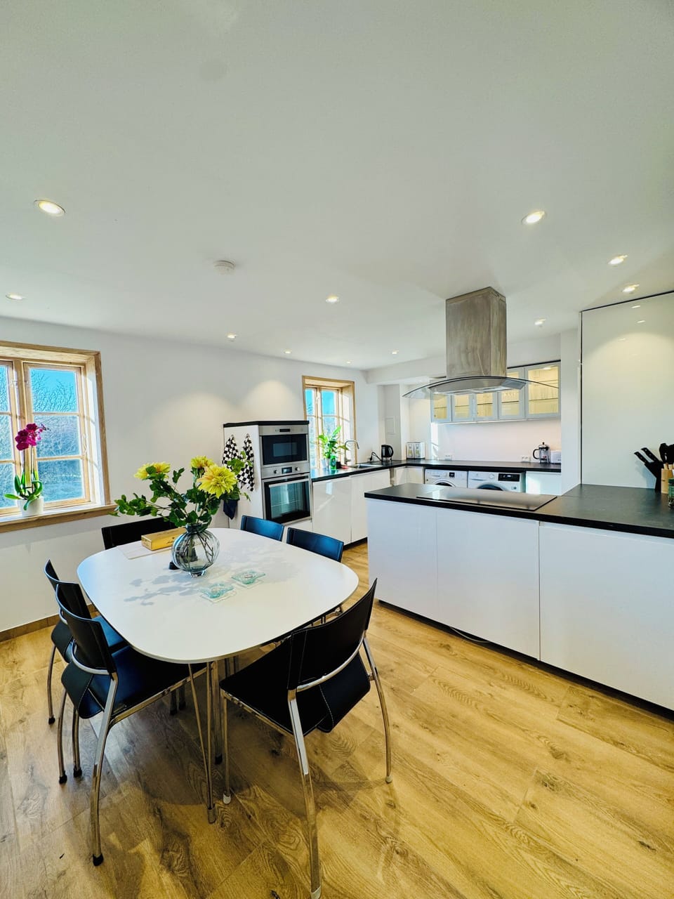 Oven, stovetop, dishwasher, electric kettle