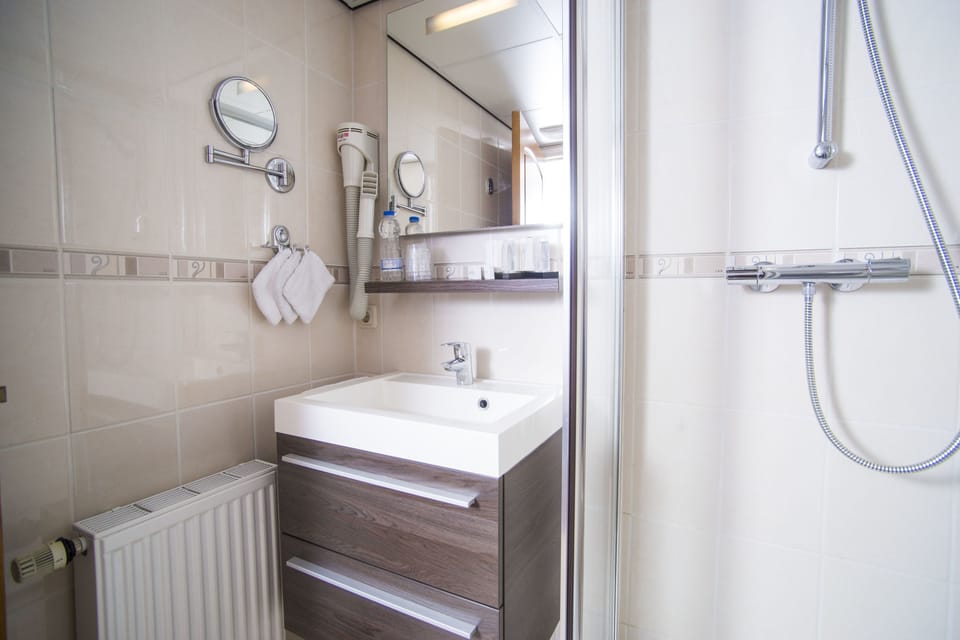 Triple Room | Bathroom | Shower, free toiletries, hair dryer, towels