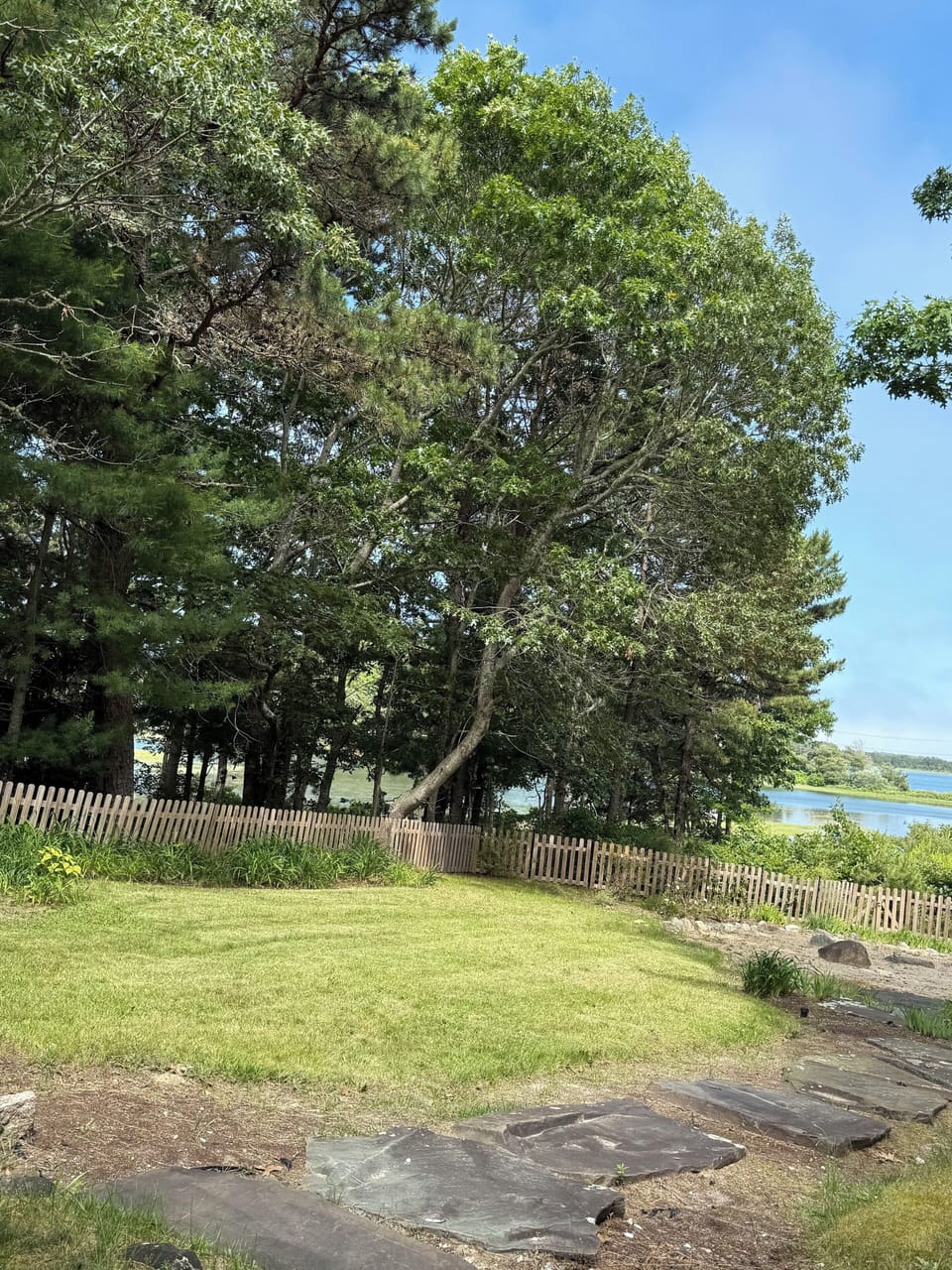 Full fenced backyard