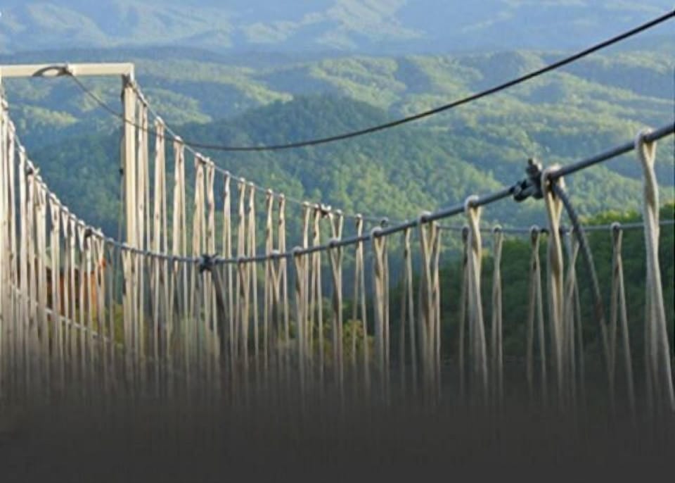 One Free Adult Admission INCLUDED with each Reservation to Adventure Park Ziplines, Crave Golf Club, and Gatlinburg's SkyLift