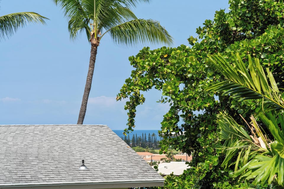 Partial ocean view
