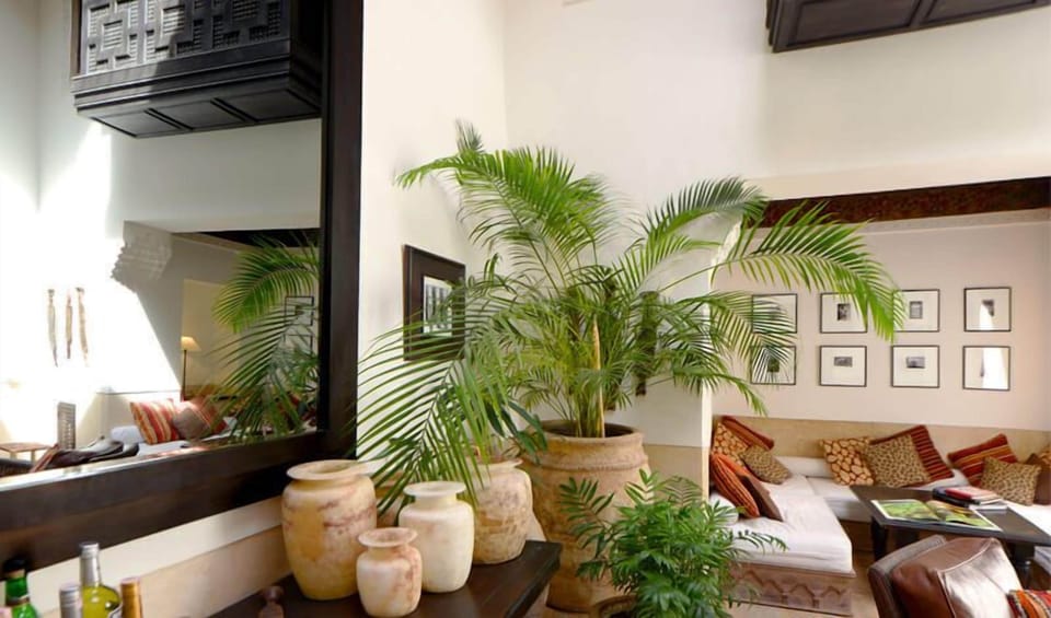 Superior Apartment | Living area