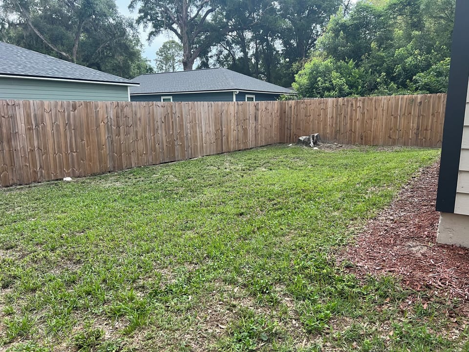 back yard