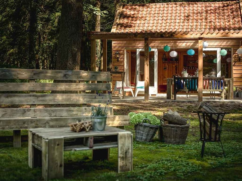 Relax outdoors with tranquil woods and rustic cabin charm