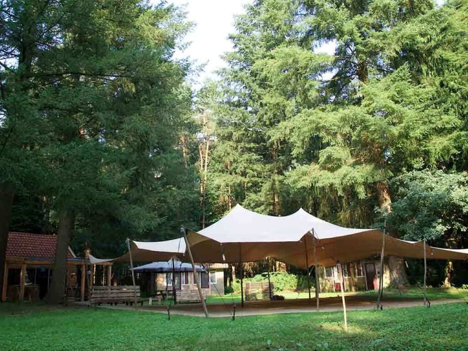 Host unforgettable gatherings beneath a canopy in the open meadow.