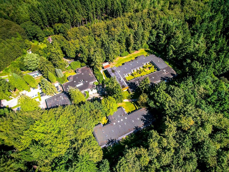 Escape above the treetops and discover a secluded woodland retreat.