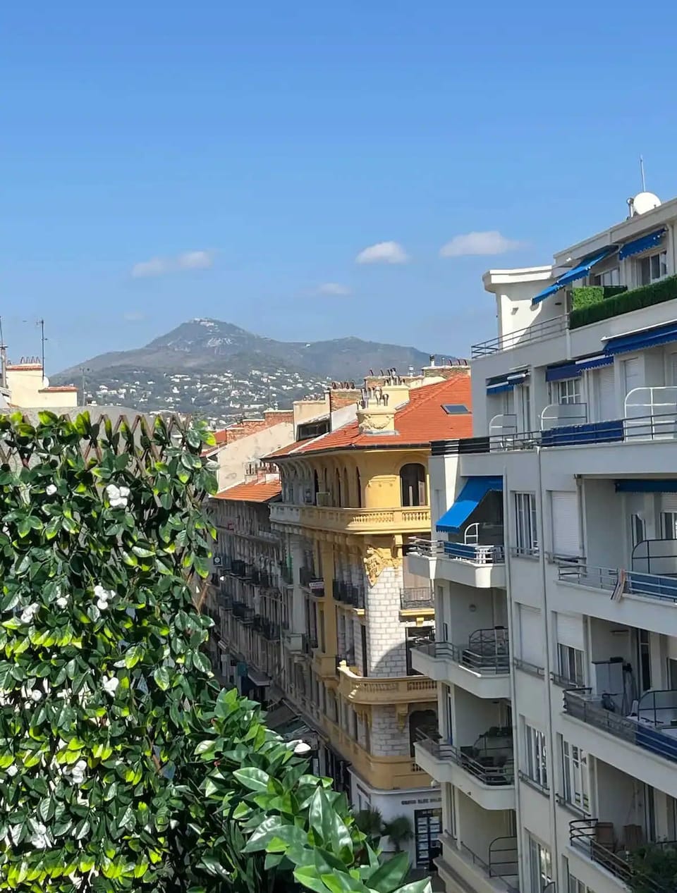 View from property