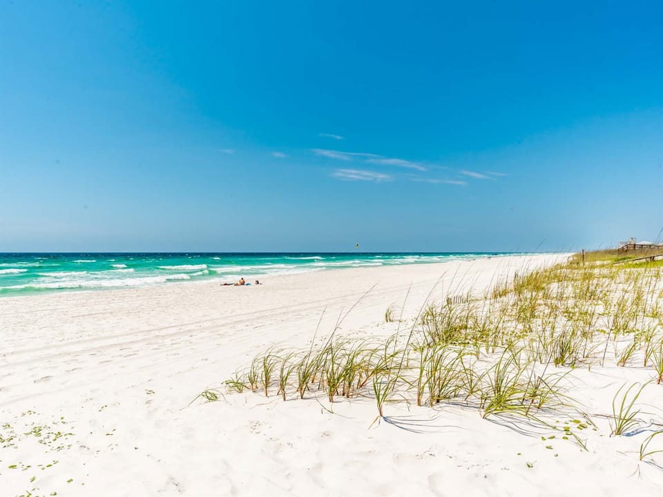 Pristine white sand beach with emerald waters and natural dune grasses creates a perfect coastal escape.