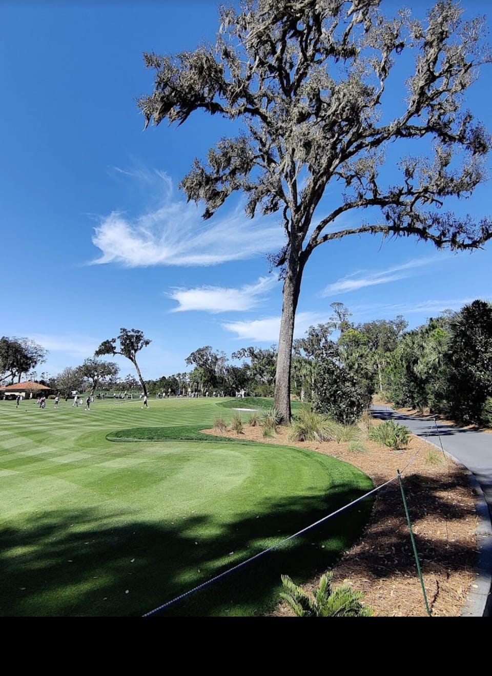 TPC Course