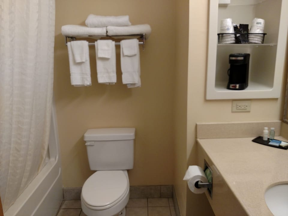 Combined shower/tub, free toiletries, hair dryer, towels