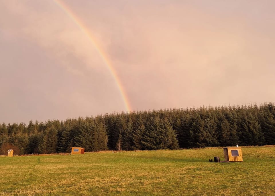 Wintery rainbows