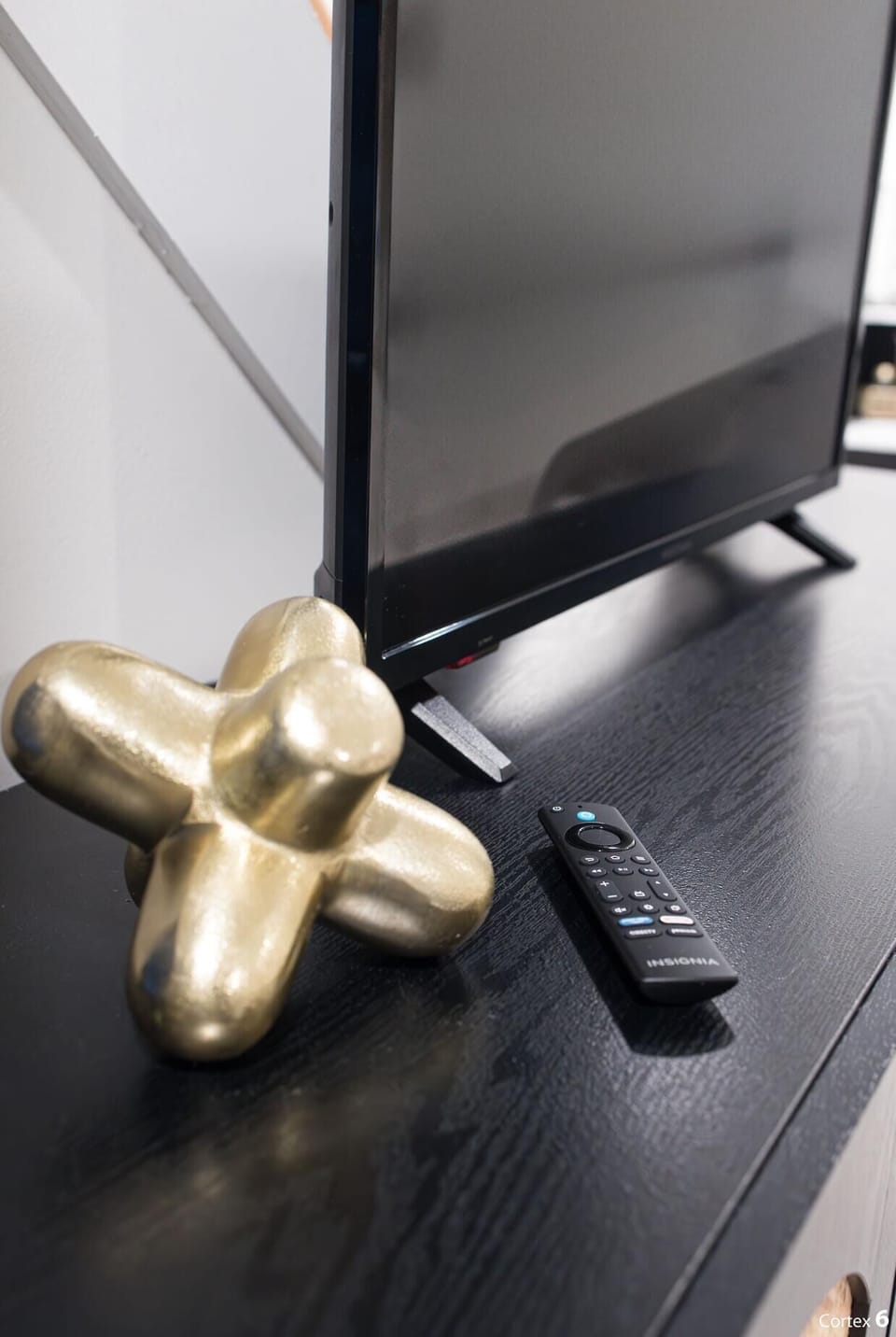 Television