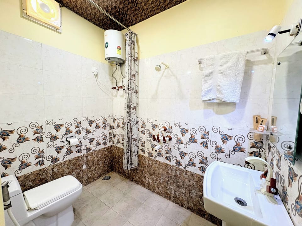Deluxe Double Room, Park View | Bathroom | Shower, free toiletries, towels, soap