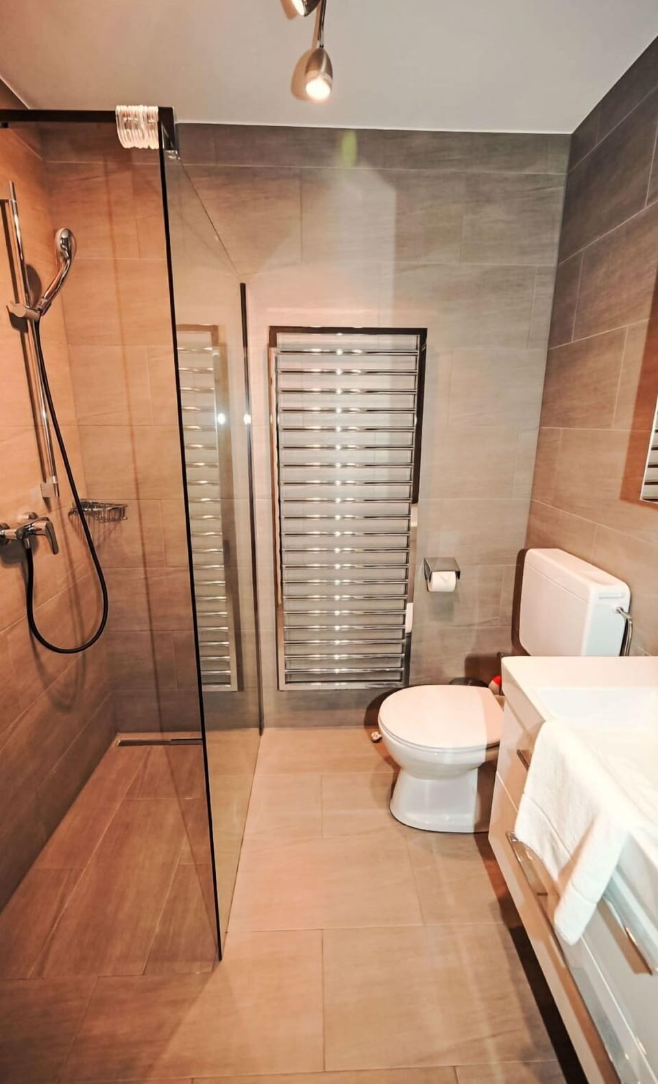 Bathroom, Flooring, Floor, Plumbing Fixture, Interior Design, Toilet, Plumbing, Tile, Brown, Shower