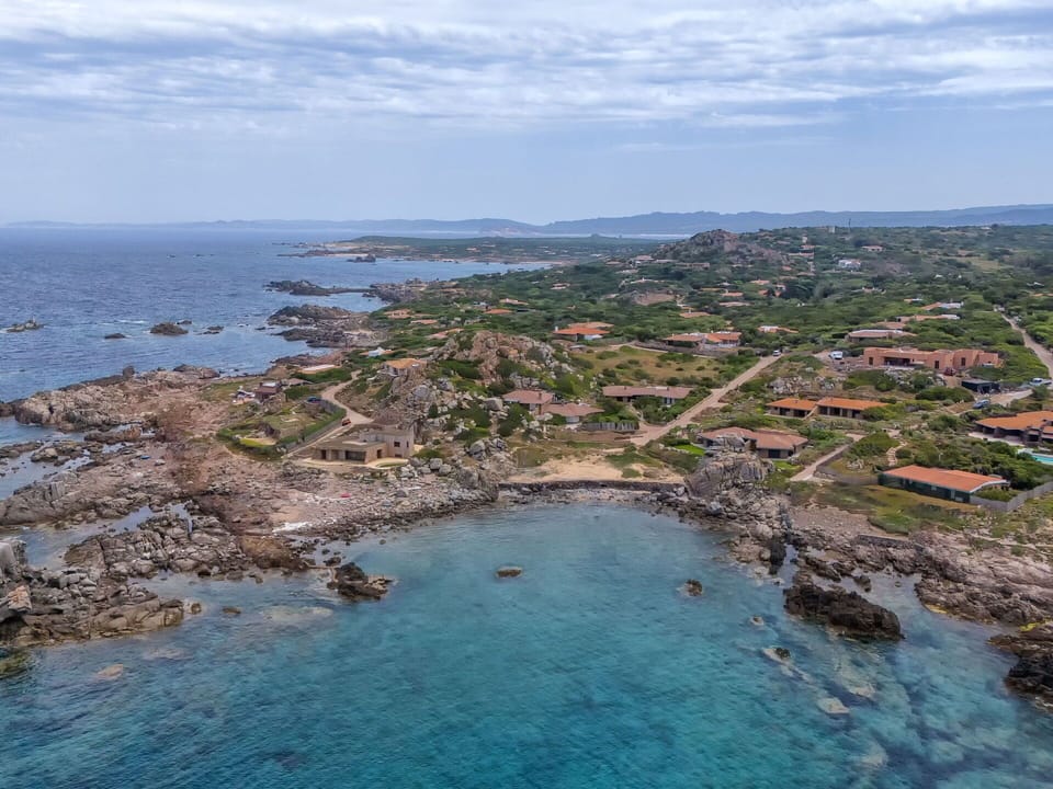 Shrub, Garden, Shade, Lawn, Outdoor Furniture, Backyard, Landscaping, Yard, Estate, Chair