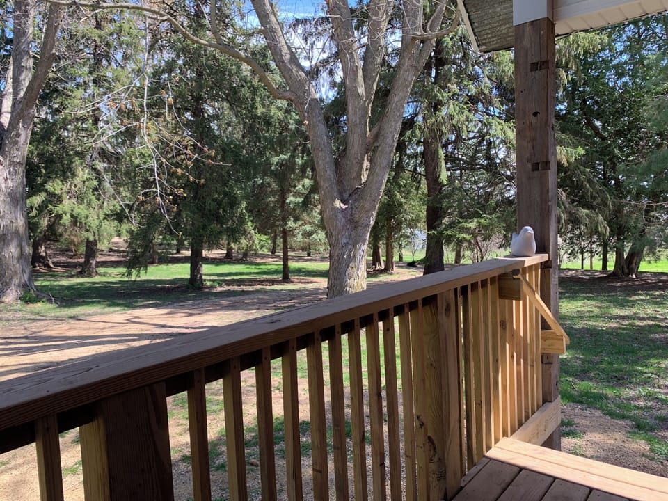porch view looking east toward the orchard