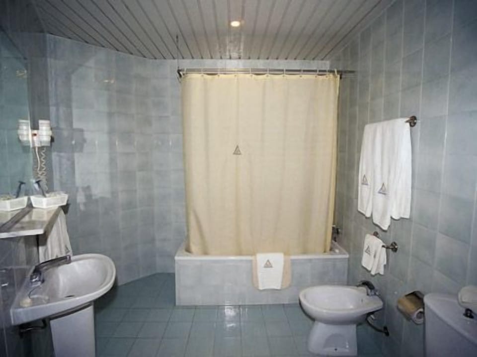 Hair dryer, bidet, towels