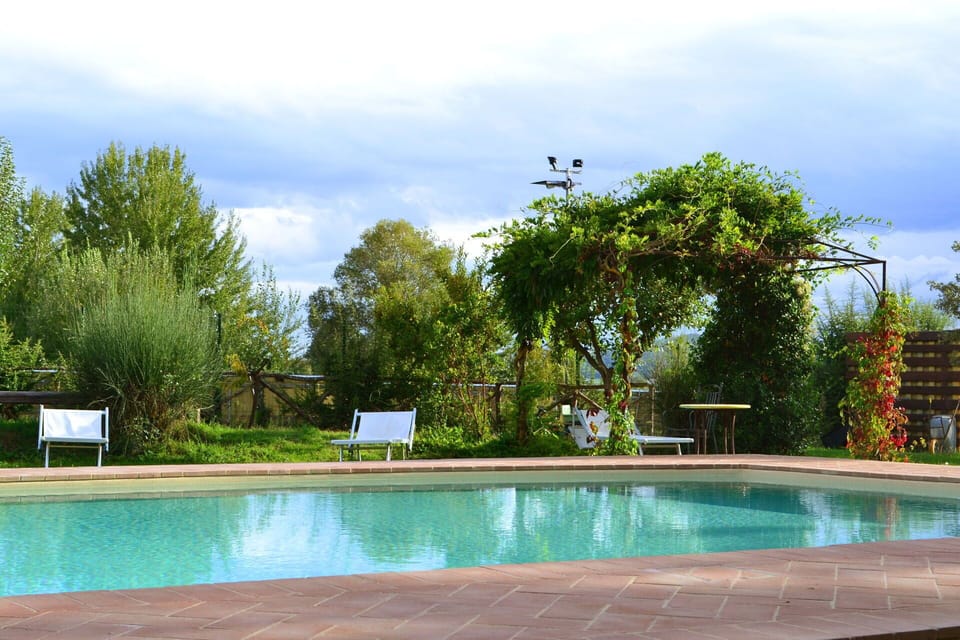 Autumn, Pool, Spring, Summer