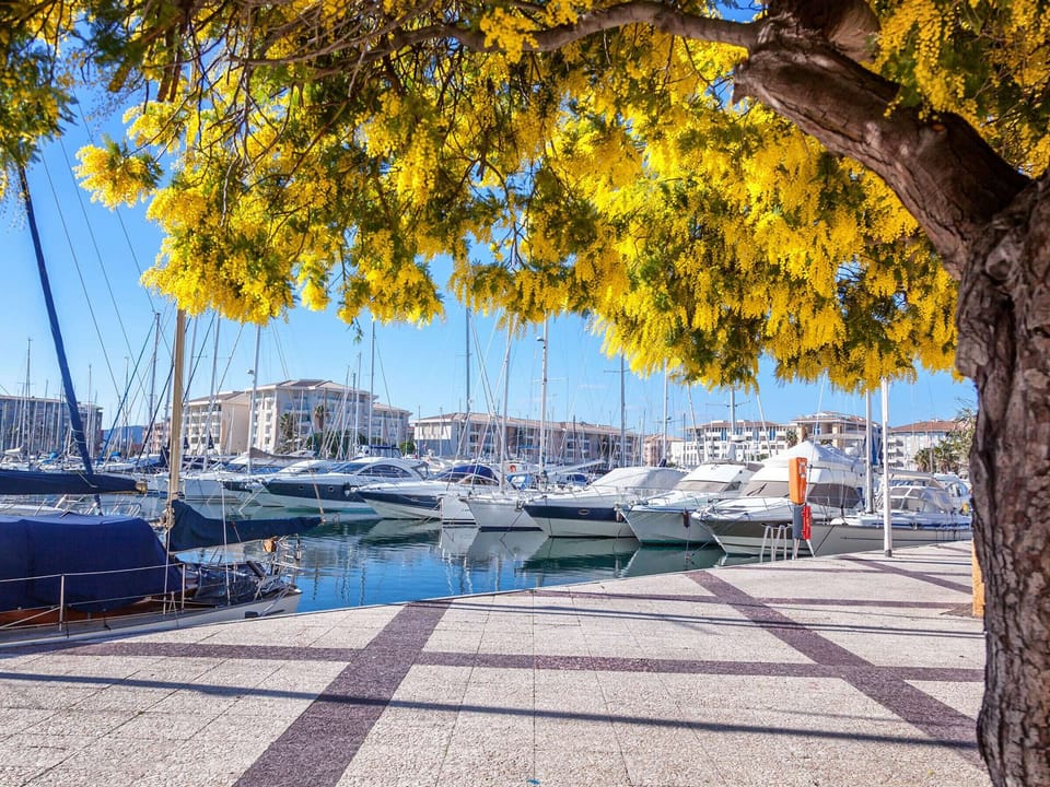 Marina