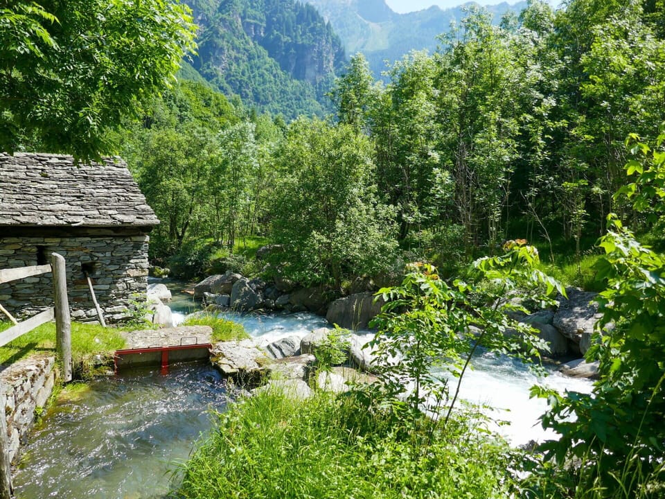 Water, Body Of Water, Water Resources, Nature, Green, Natural Landscape, Watercourse, Vegetation, Stream, Rock