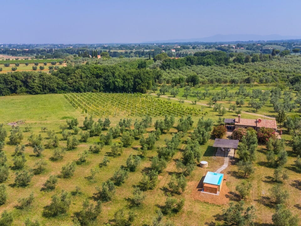 Plain, Landscape, Rural Area, Land Lot, Field, Plantation, Agriculture, Farm, Bird'S-Eye View, Aerial Photography