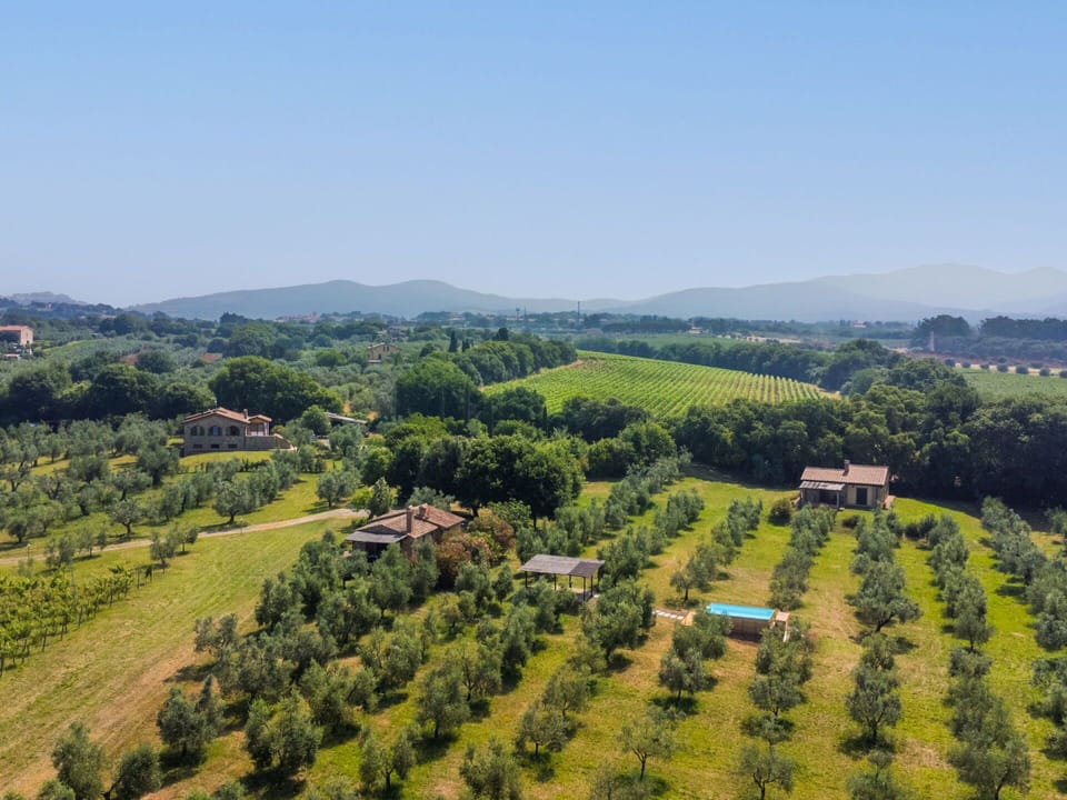 Landscape, Rural Area, Plain, Land Lot, Plantation, Field, Agriculture, Hill Station, Village, Farm