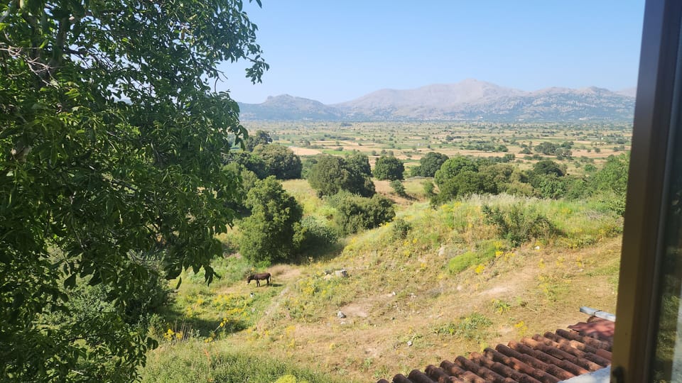 View from property