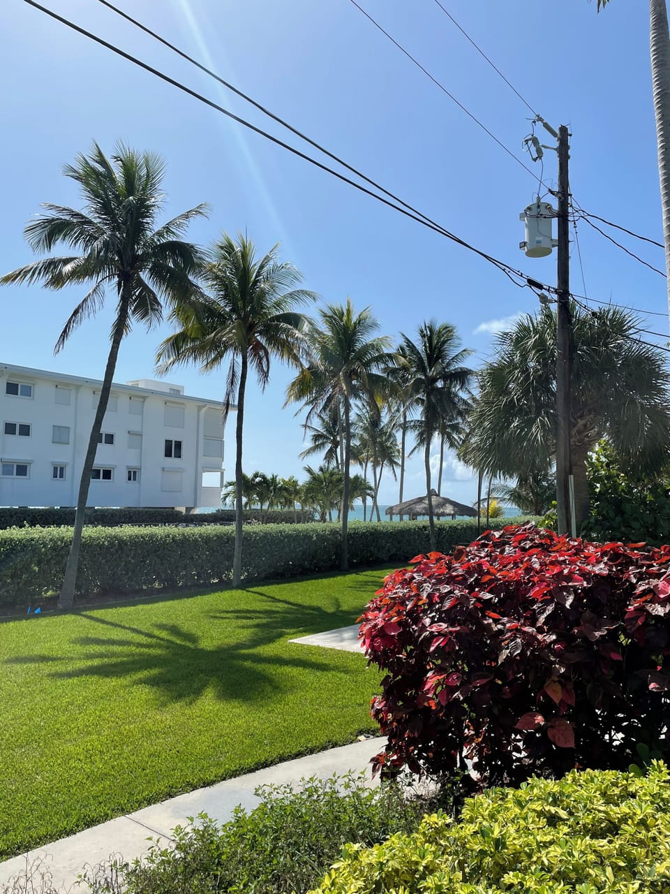 View from the Balcony